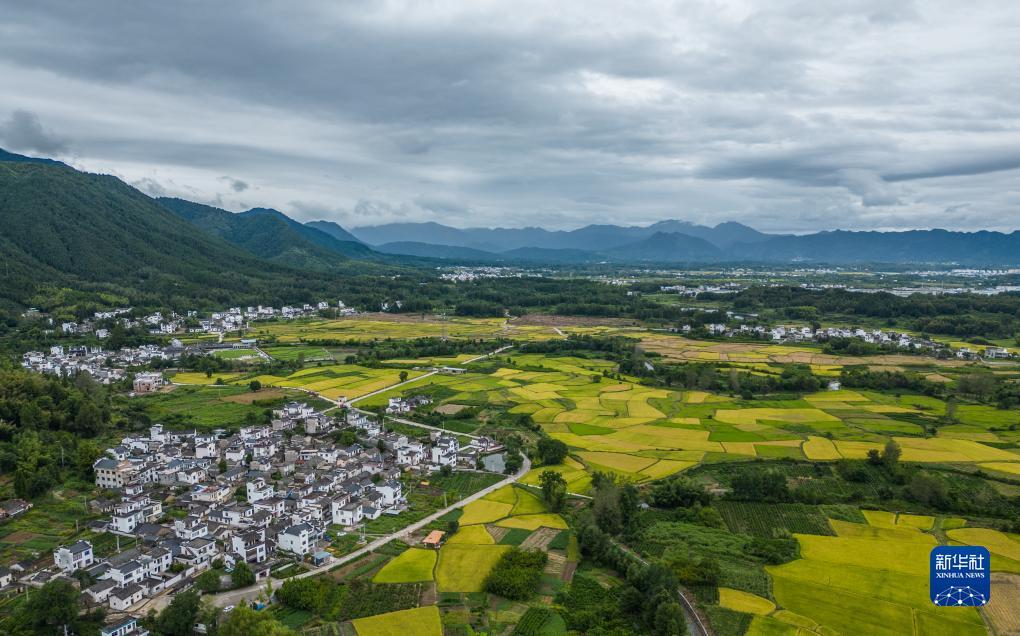 九五至尊最新登录网址